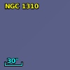 NGC  1310