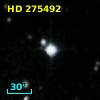 HD 275492