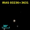 IRAS 03236+3631