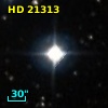 HD  21313