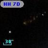 HH   7D
