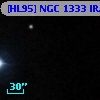 [HL95] NGC 1333 IRAS 2  1