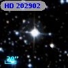HD 202902