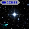 HD 203855