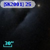 [SK2001] 25