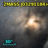 MBO  81