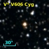 V* V606 Cyg