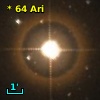 *  64 Ari