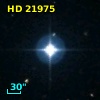 HD  21975