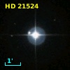 HD  21524