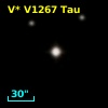 2MASS J03331161+1035558