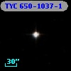 TYC  650-1037-1