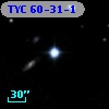 TYC   60-31-1