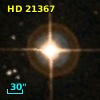 HD  21367