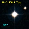 V* V1241 Tau