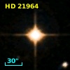 HD  21964