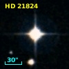 HD  21824