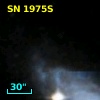 SN 1975S