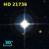 HD  21736