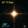 V* T For