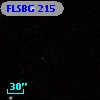 FLSBG 215