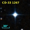 CD-33  1267