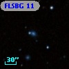 FLSBG  11