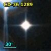 CD-36  1289