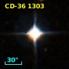 CD-36  1303