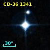 CD-36  1341