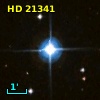 HD  21341