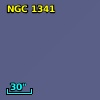 NGC  1341