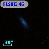 FLSBG  45