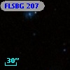 FLSBG 207