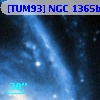 [TUM93] NGC 1365b 4