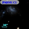 [PKB99] C5