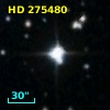 HD 275480