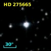 HD 275665