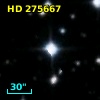 HD 275667