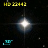 HD  22442
