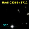 IRAS 03365+3712