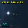 Cl* IC  348      H      82
