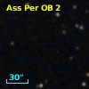 Ass Per OB   2-