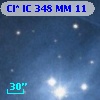 Cl* IC  348     MM      11