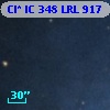 Cl* IC  348    LRL     917