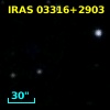 IRAS 03316+2903