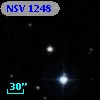 NSV  1248