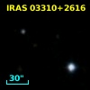IRAS 03310+2616