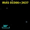 IRAS 03366+2637