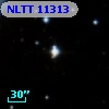 NLTT 11313